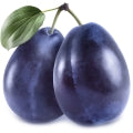  البرقوق